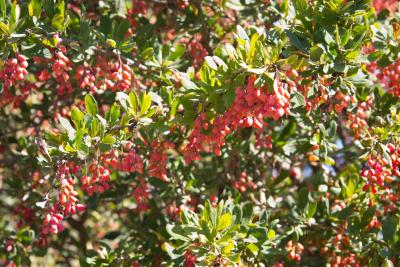 Прикрепленное изображение: IMG_7422.jpg